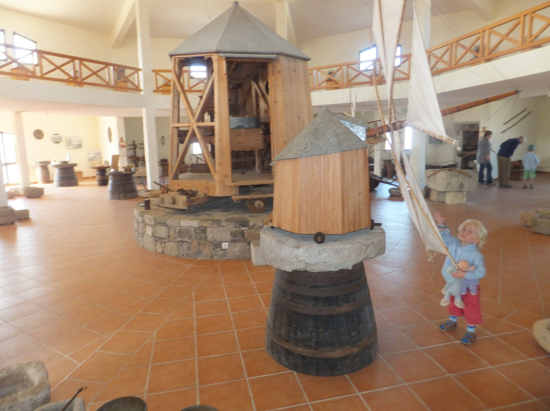 Museu do Cardina-Porto Santo Island必去景点