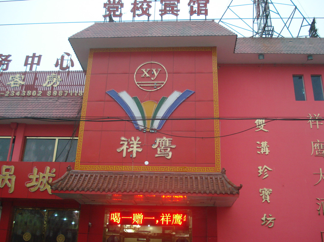 祥鹰大酒店主图