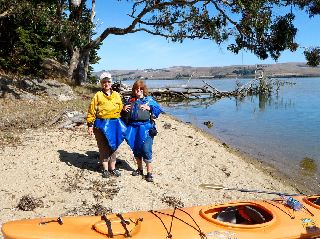 Blue Waters Kayaking-Point Reyes Station必去景点