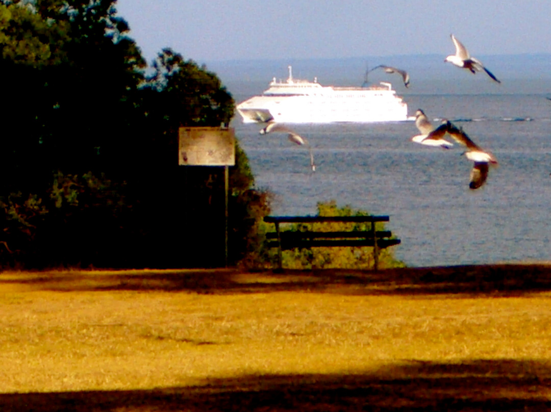 Kia Ora at Queenscliff主图