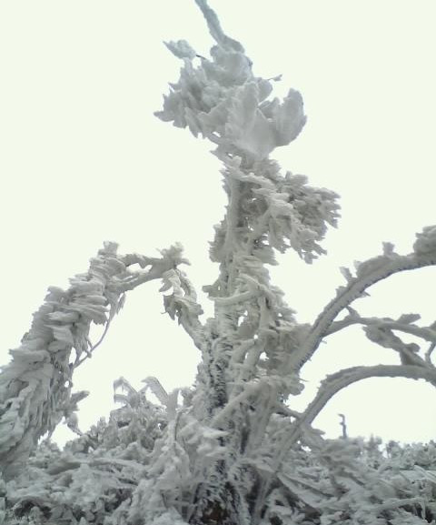 天湖山-泰和县必去景点