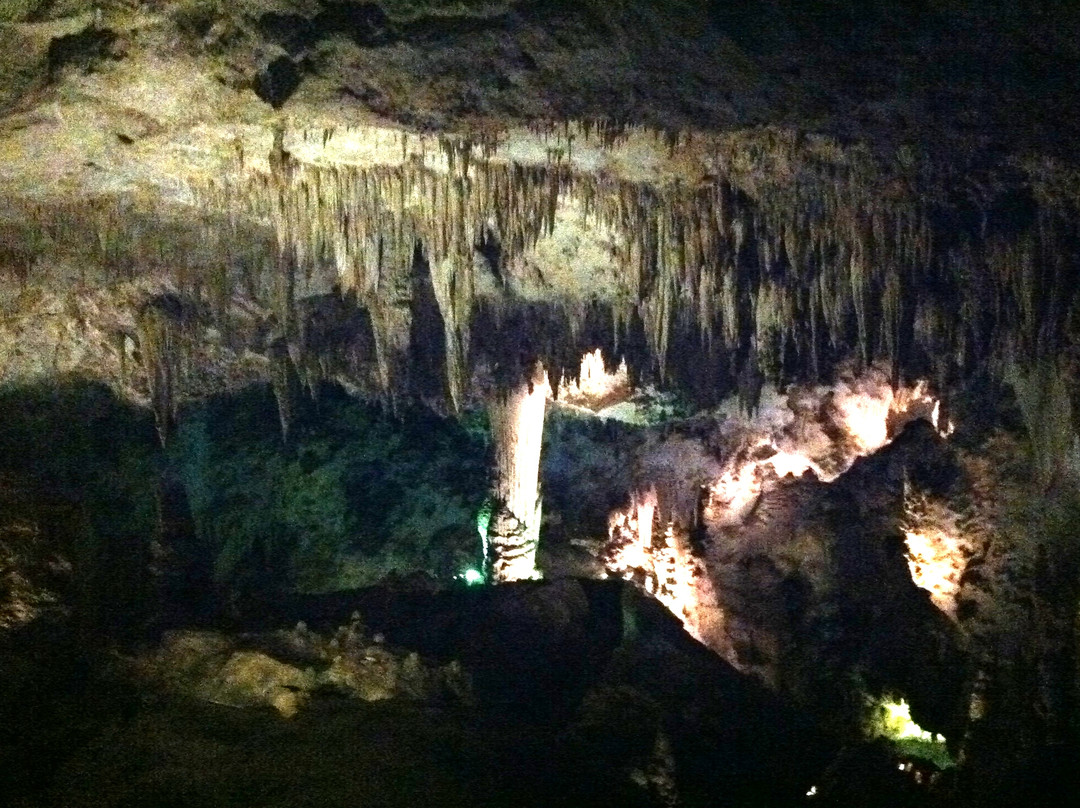 Carlsbad Caverns Natural Entrance Tour-卡尔斯巴德洞穴国家公园必去景点