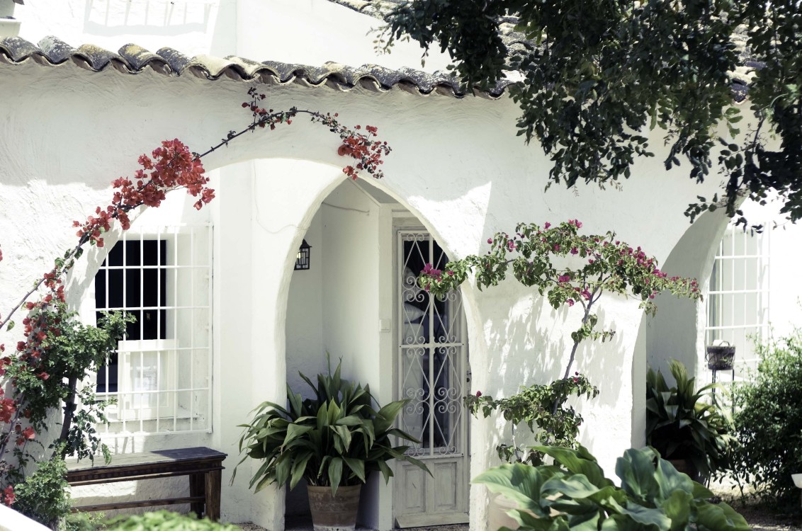 El Pi del Senyoret-官方