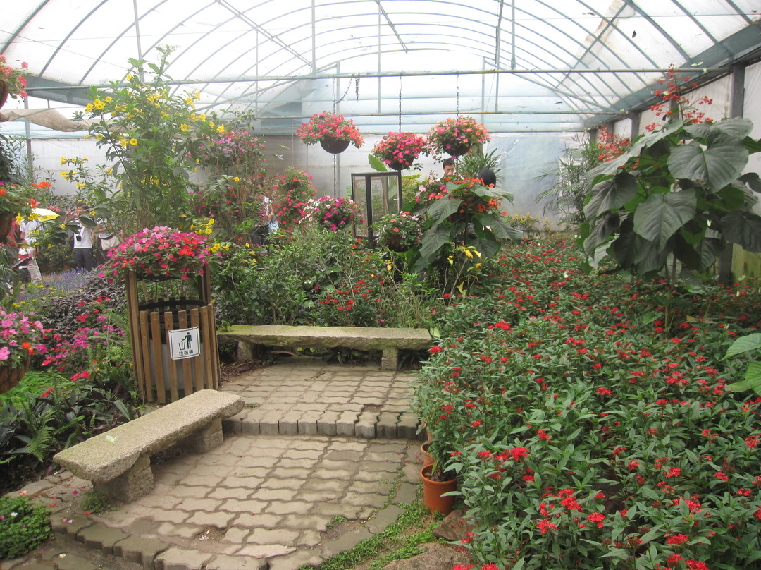 青青世界-深圳市必去景点