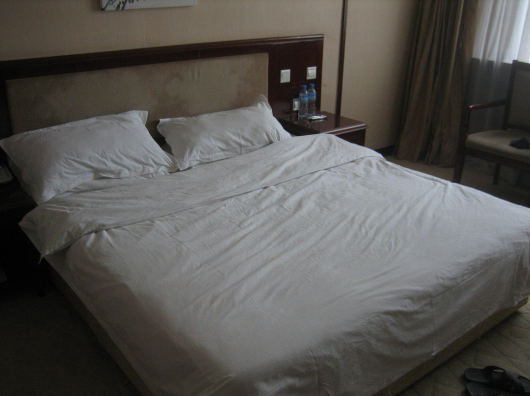 华辰大酒店主图