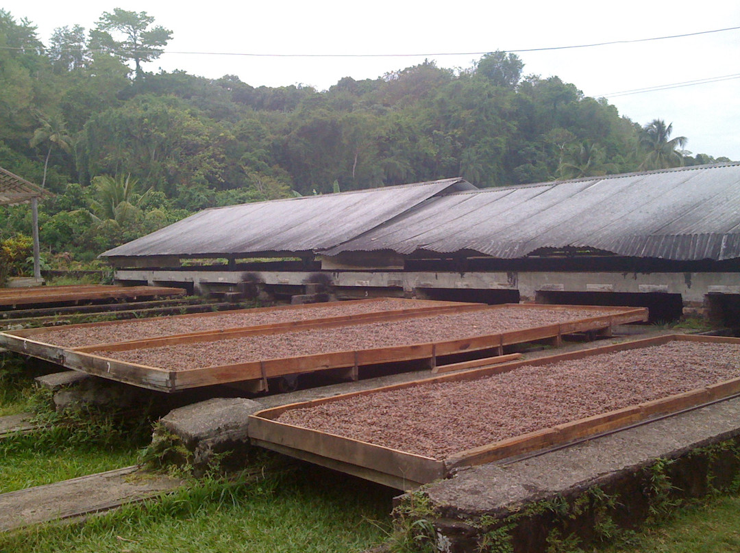 The Grenada Chocolate Company-St. George's必去景点