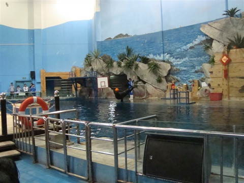 曲江海洋世界-西安市必去景点