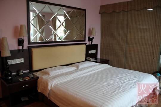 金辉大酒店-客卧