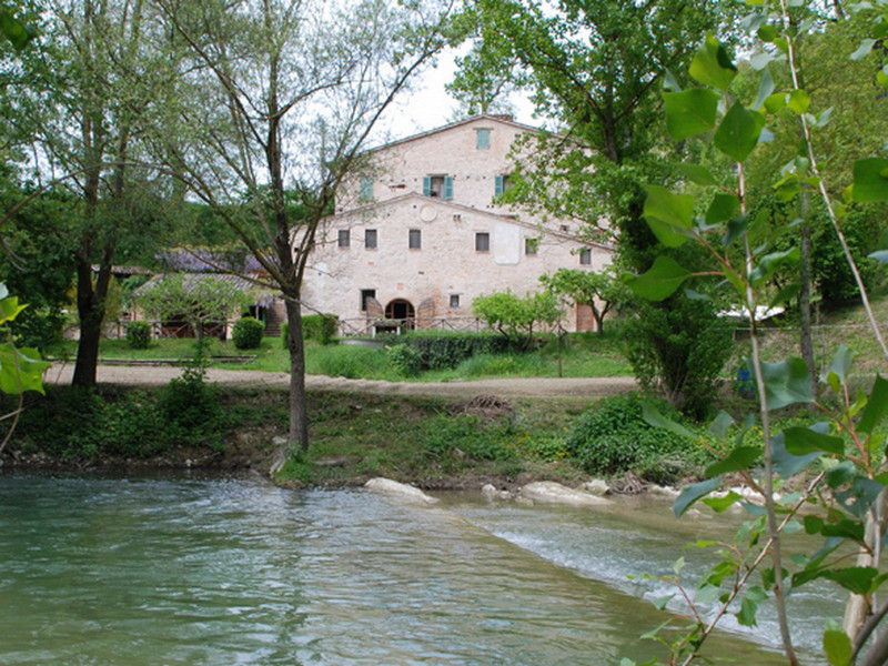 Mulino Della Ricavata主图