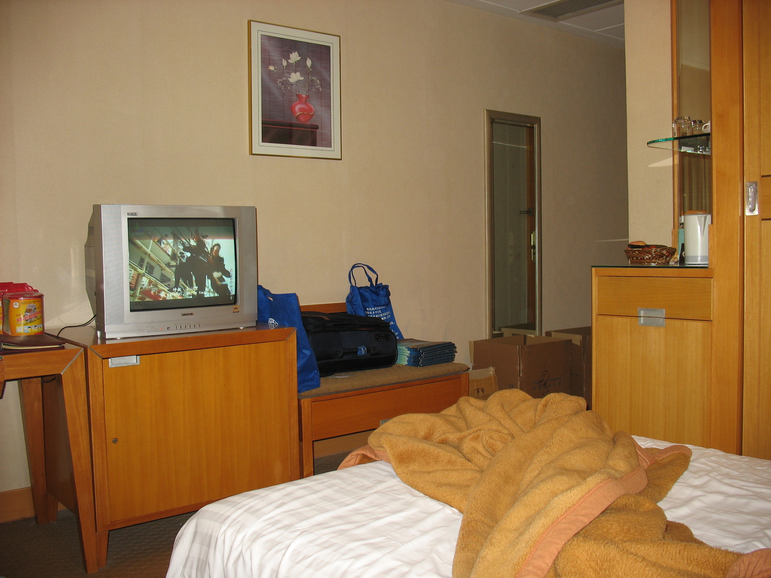 佳宁娜大酒店-客卧