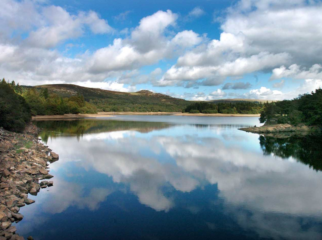 Burrator Reservoir景点图片