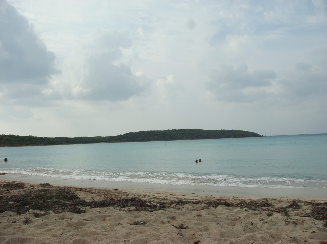 Puerto Rico Bio Bay Tours LLC-法哈多必去景点