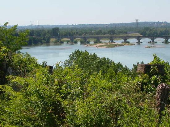 灌木丛酒店-泳池