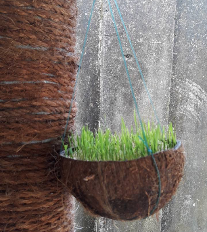 Cam Thanh餐馆和美食-Windy Coffee & Restaurant