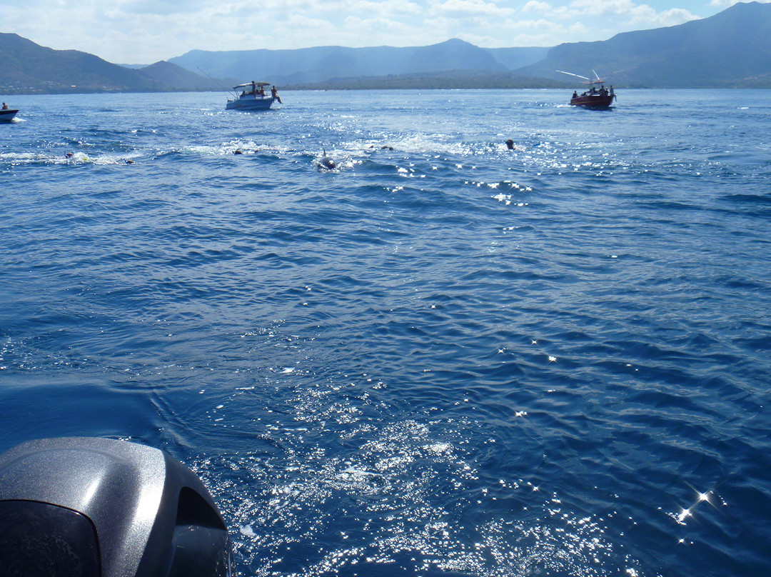 Dauphine Tours Mauritius-大湾必去景点