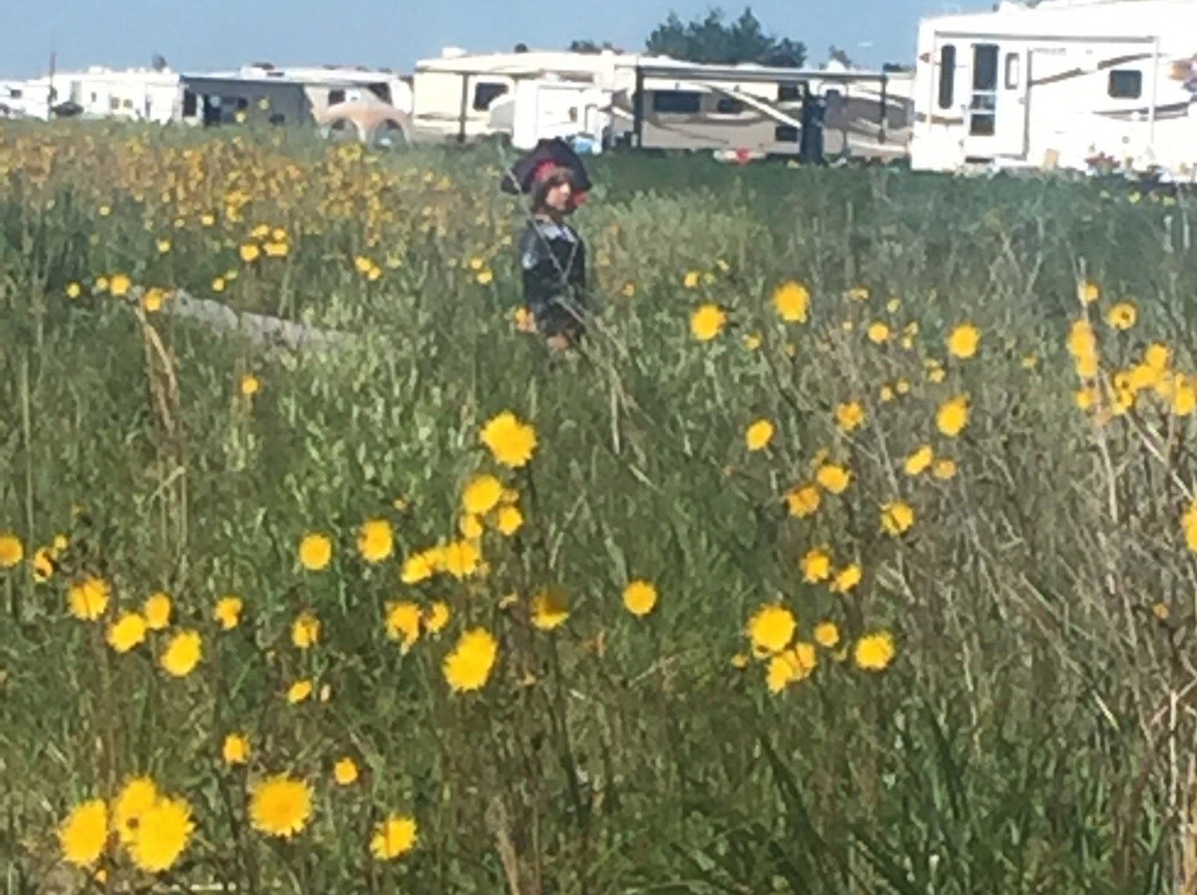 Camping aux Flots Bleus