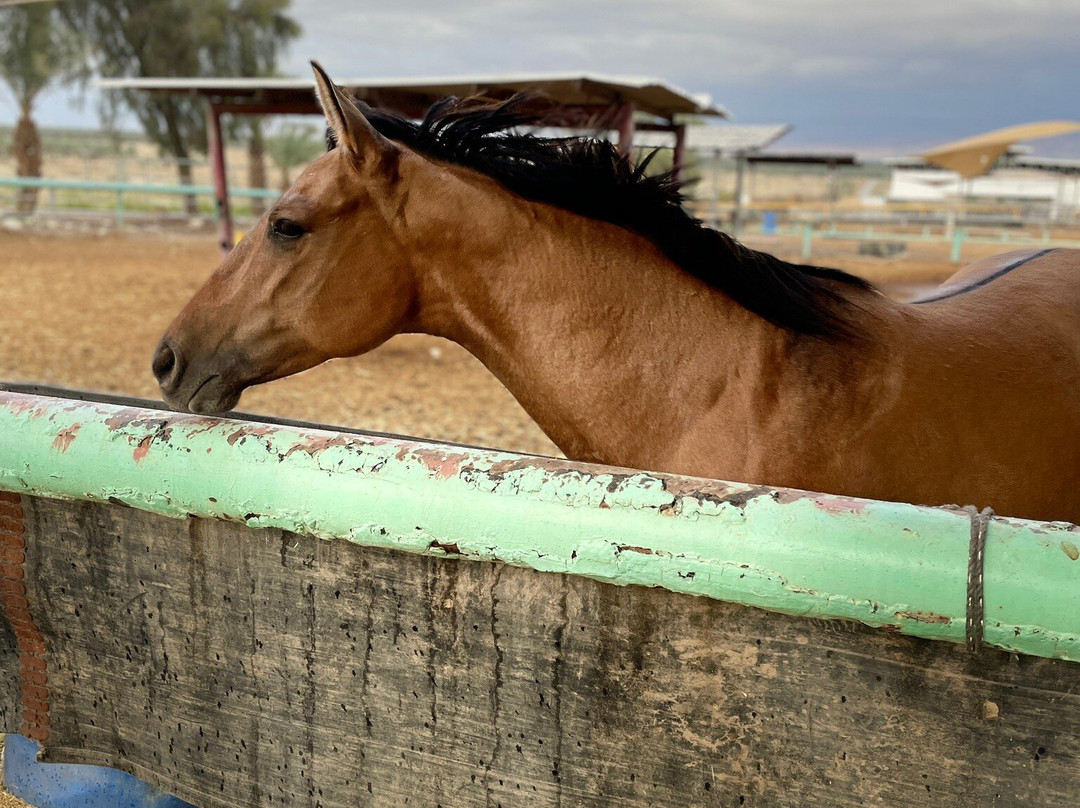 Kalia Kibbutz Hotel主图
