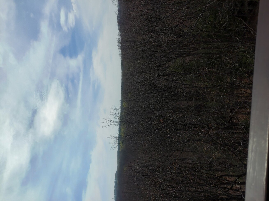 The Holden Arboretum-Kirtland必去景点