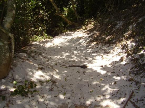 Prainhas do Pontal do Atalaia-阿拉伊阿尔港必去景点
