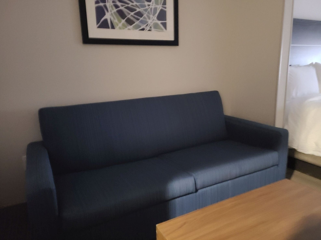 北斯巴达伯格快捷假日&套房酒店主图