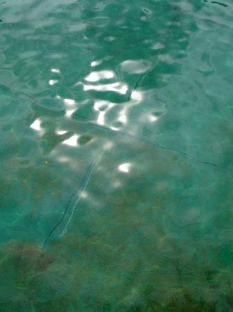 Venetian Pool-科勒尔盖布尔斯必去景点