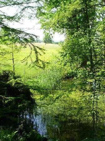 Botanischer Garten-Grüningen必去景点