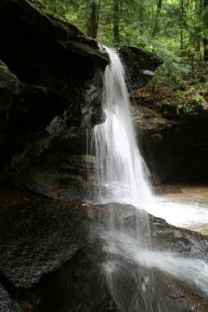 Frozen Head State Park-Wartburg必去景点