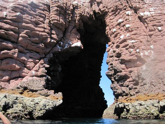Indômito: Baja Outdoor Activities-拉巴斯必去景点