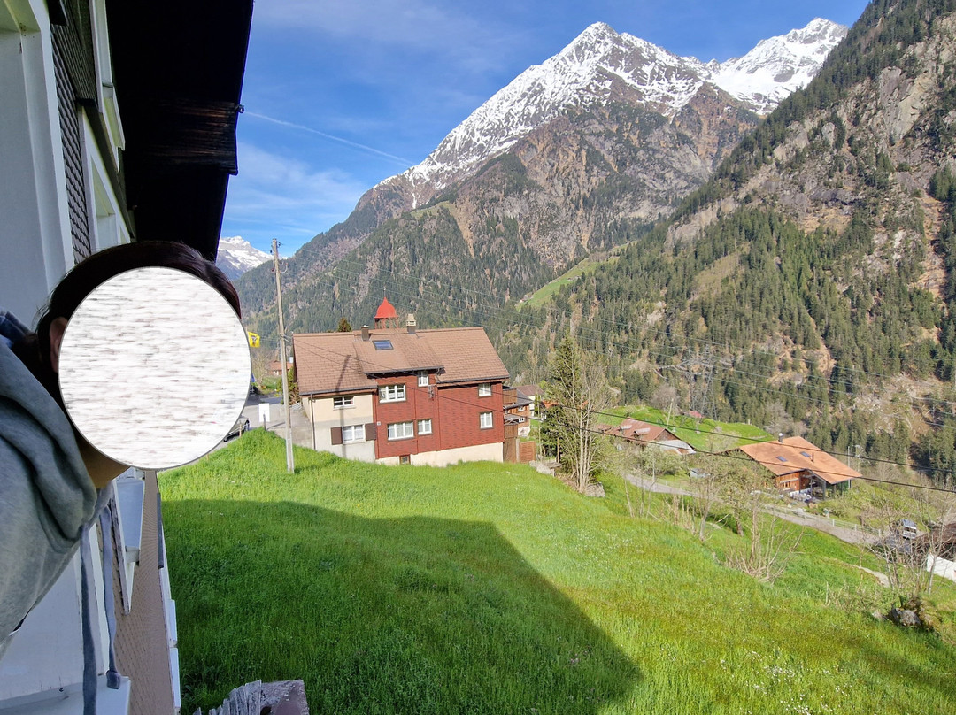 Gasthaus Bergheim主图