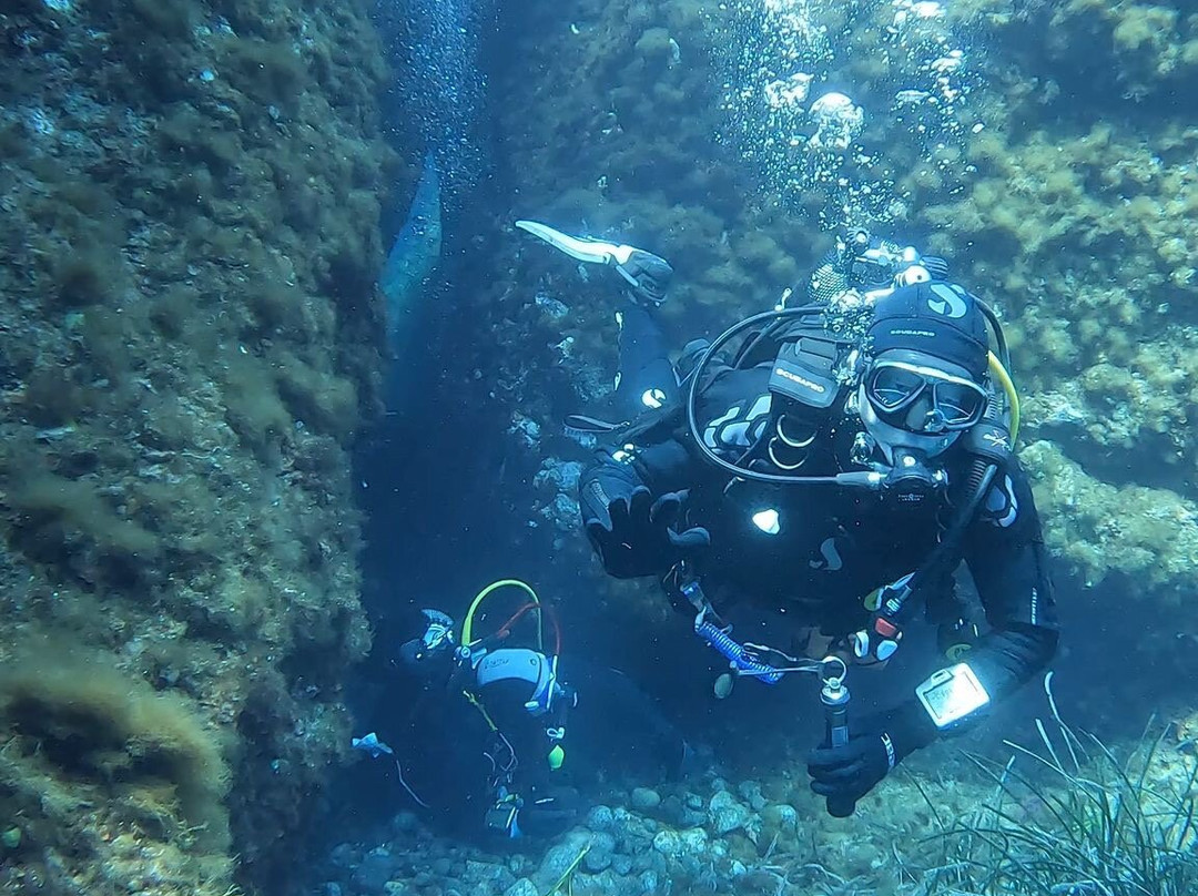 Mister Jump Diving Ustica-Ustica必去景点