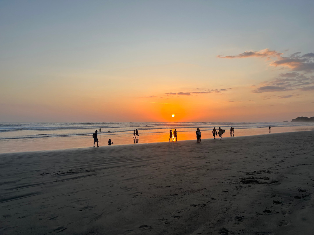 The Harmony Hotel主图