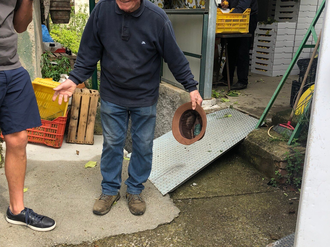 Amalfi Lemon-阿马尔菲必去景点