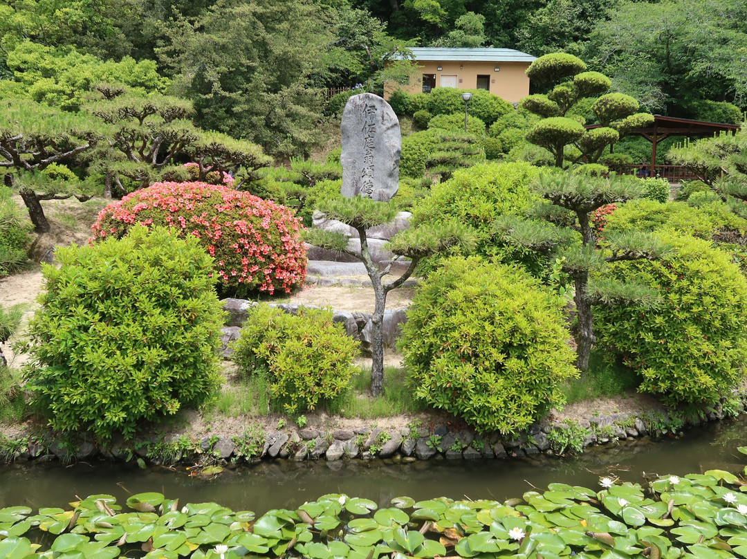 Dogo Park (Ruins of Yuzuki Castle)-松山市必去景点
