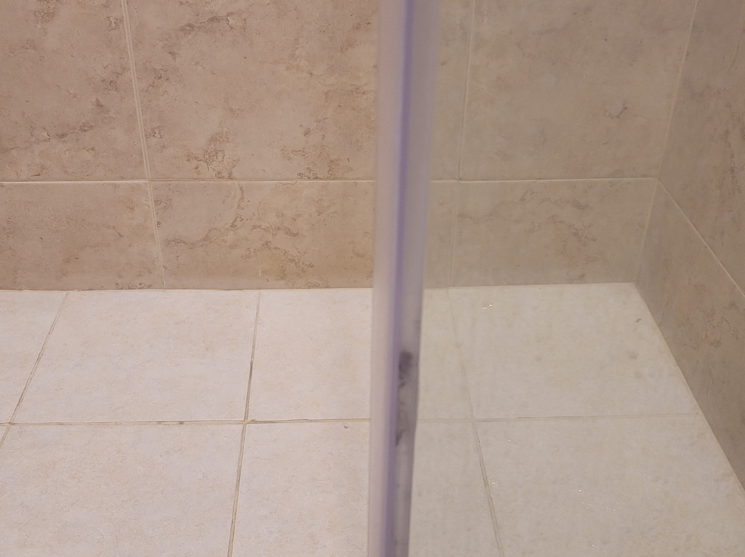 Wyndham Garden Guadalajara Acueducto主图