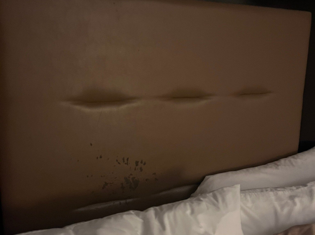 Ramada Plaza by Wyndham Sheridan Hotel & Convention Center主图