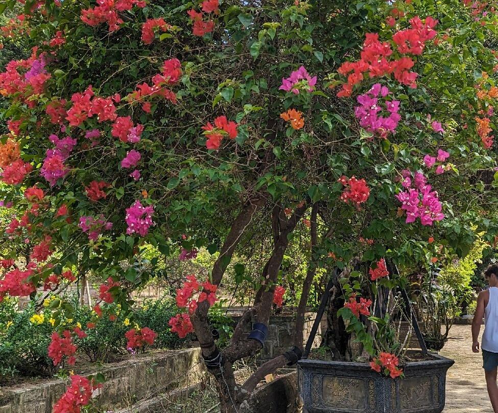 Tranh Stream-扬东必去景点