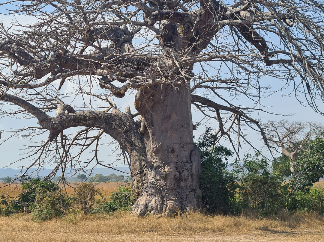 Zanvert Tours & Safaris-桑给巴尔市必去景点
