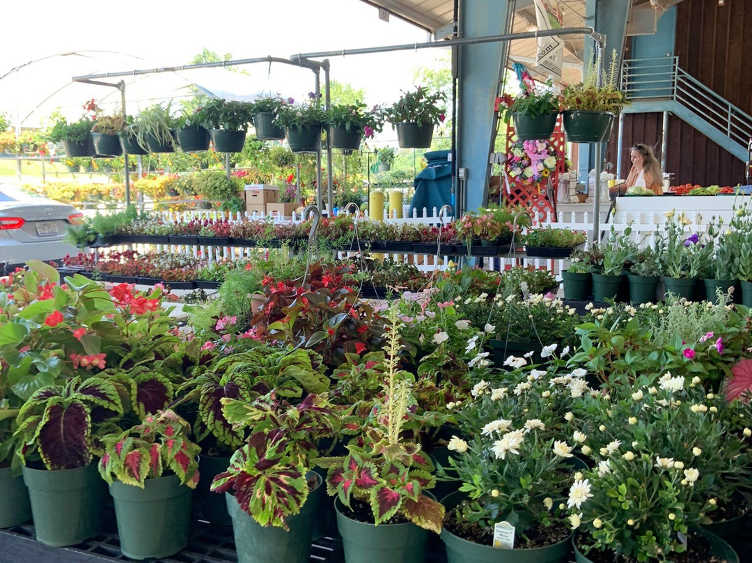 Piedmont Triad Farmers Market景点图片