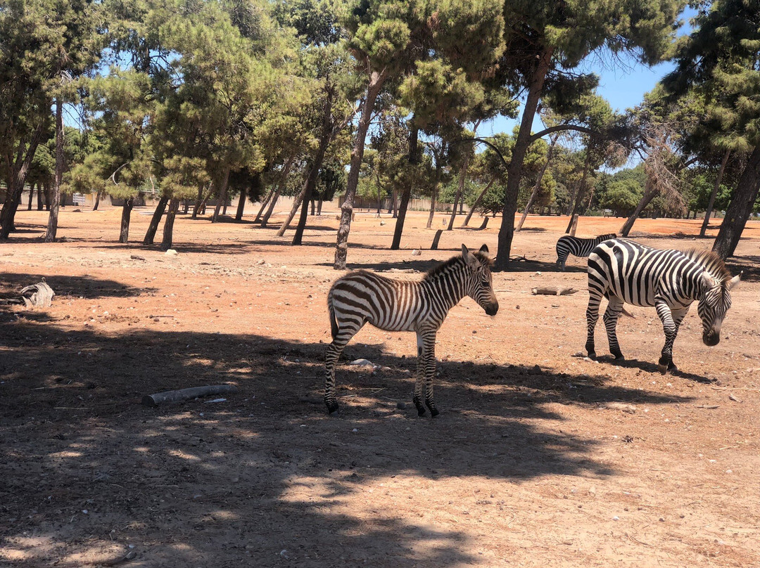 Ramat Gan National Park-拉马干必去景点