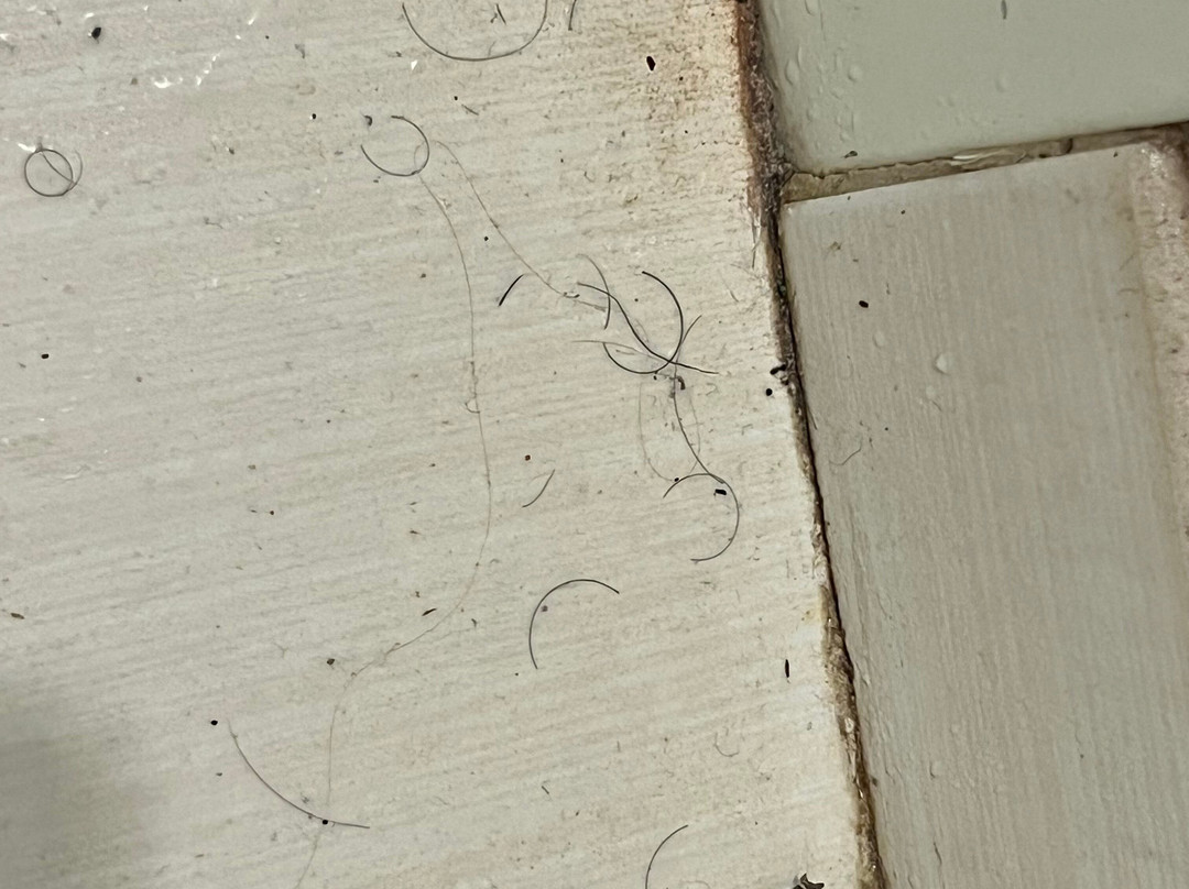 Comfort Inn & Suites Watervliet主图