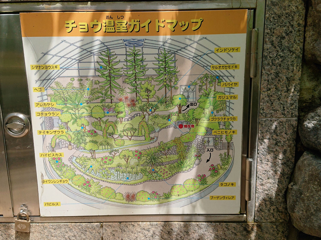 Itami City Museum of Insects-伊丹市必去景点
