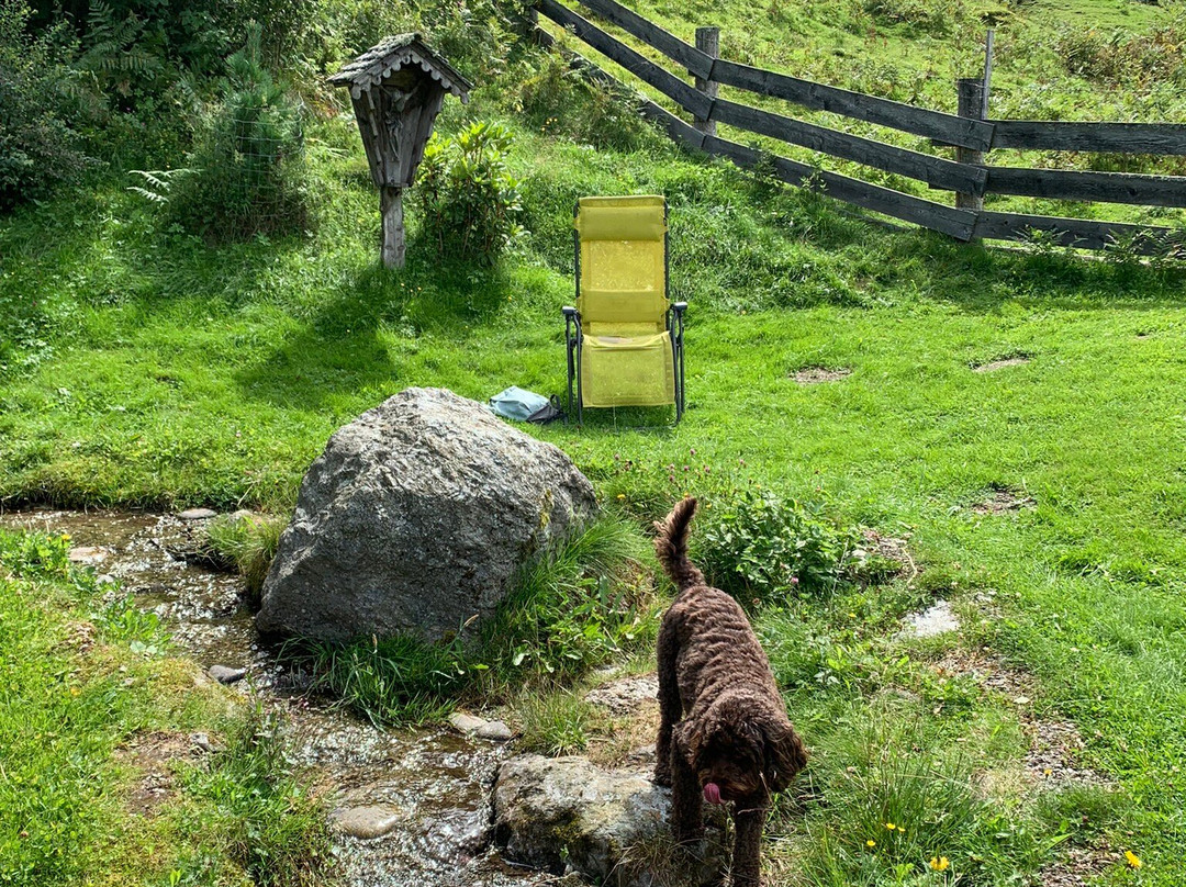 Pension Zechnerhof主图