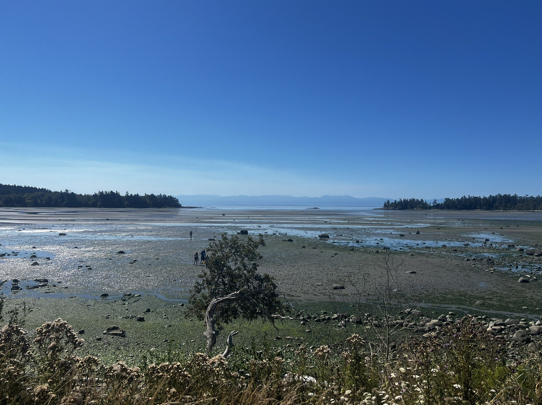 Cycle San Juan-星期五港湾必去景点