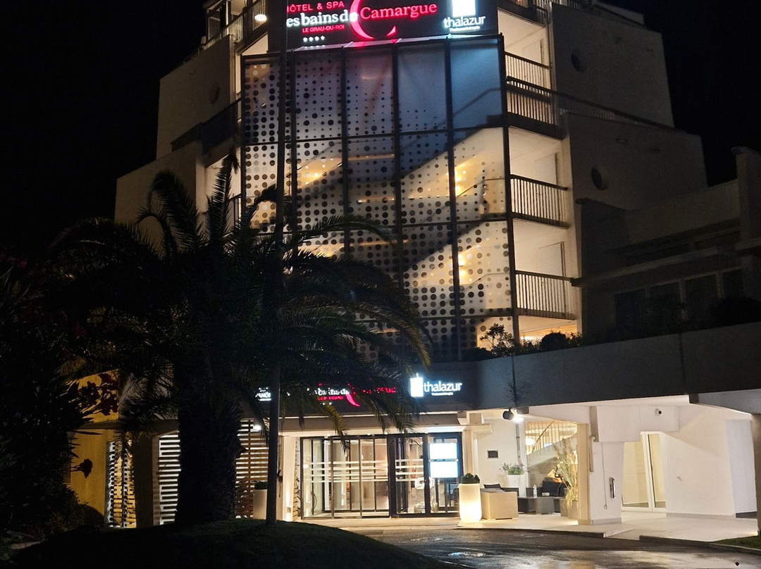 Hôtel Thalazur Port Camargue主图
