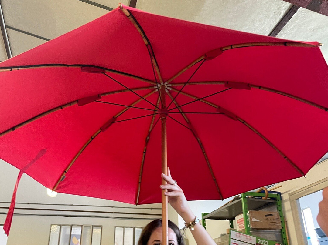 Manufacture de parapluies PIGANIOL-奥里亚克必去景点