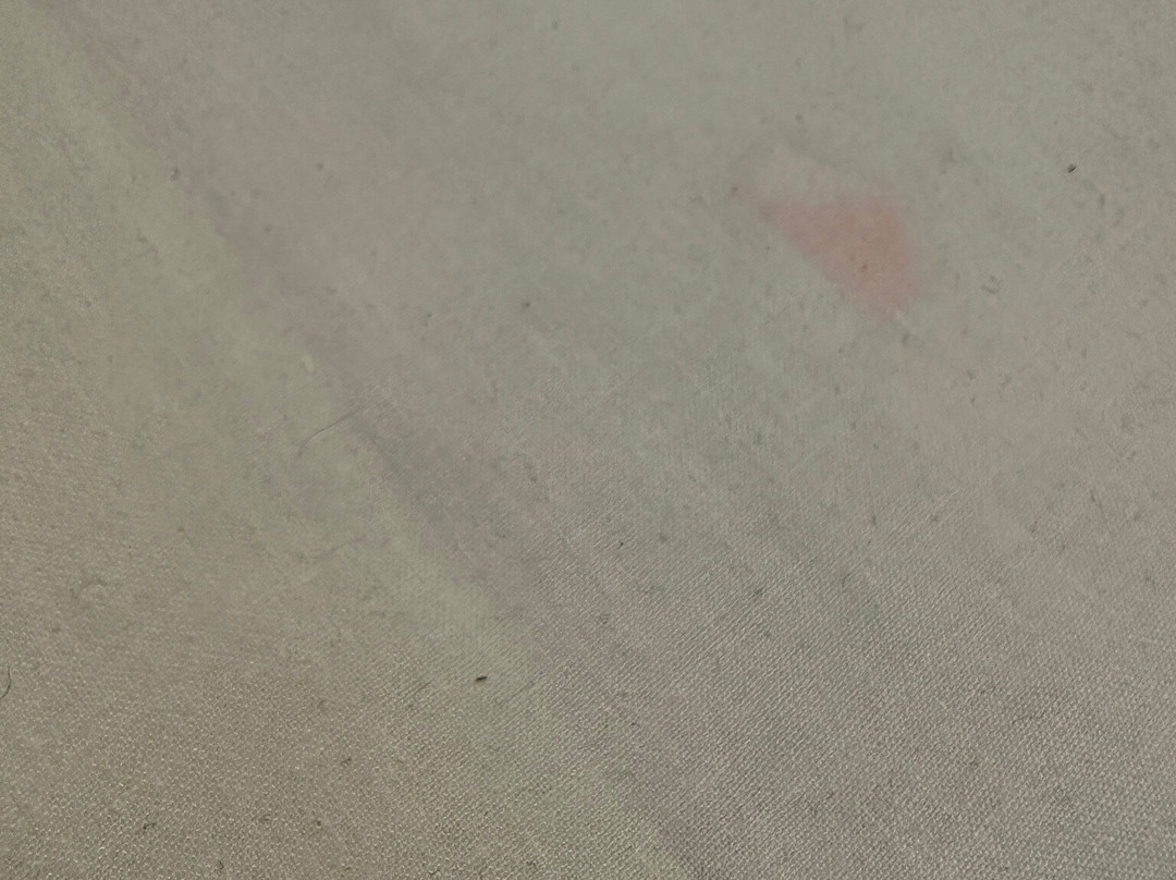 查恩伍德阿姆斯晚安旅店主图