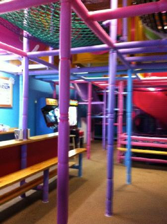 Tarpon Springs Aquarium and Animal Sanctuary-塔彭斯普林斯必去景点