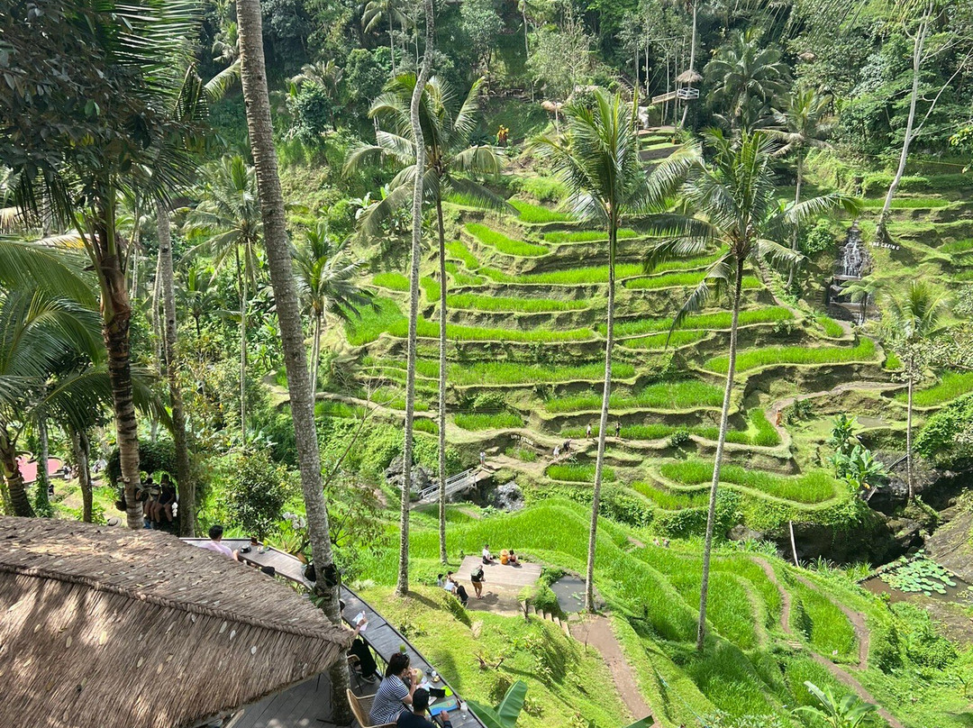 VIC Tour And Transport-乌布必去景点