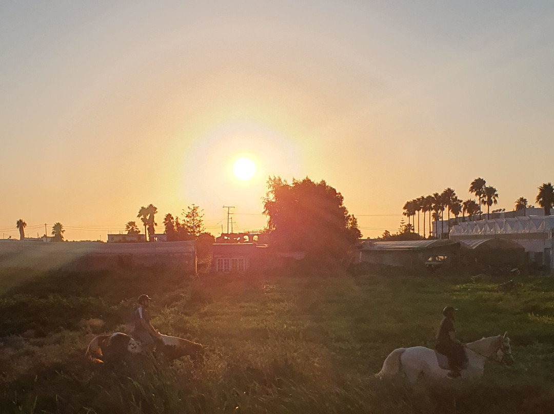 Bouradanis Village Hotel主图