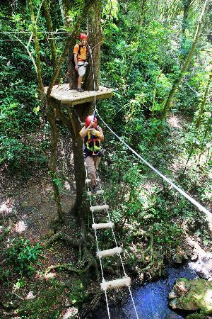 Tropical Adventures-多拉多必去景点